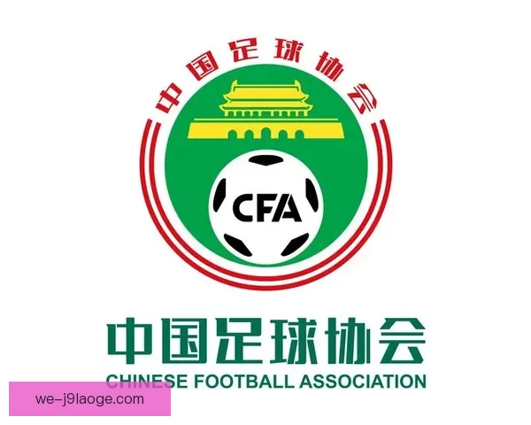 中国足球开启史上最严格职业联赛准入审查机制