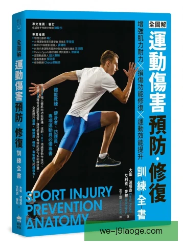 回力球伤病预防要点，热身与护具缺一不可